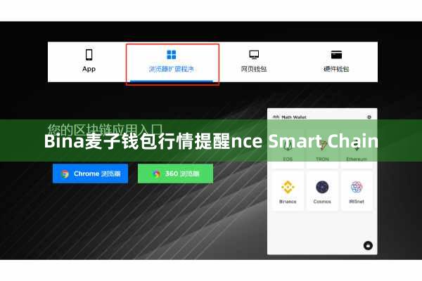 Bina麦子钱包行情提醒nce Smart Chain