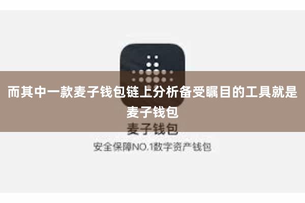 而其中一款麦子钱包链上分析备受瞩目的工具就是麦子钱包