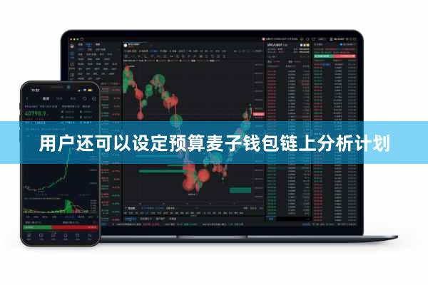 用户还可以设定预算麦子钱包链上分析计划