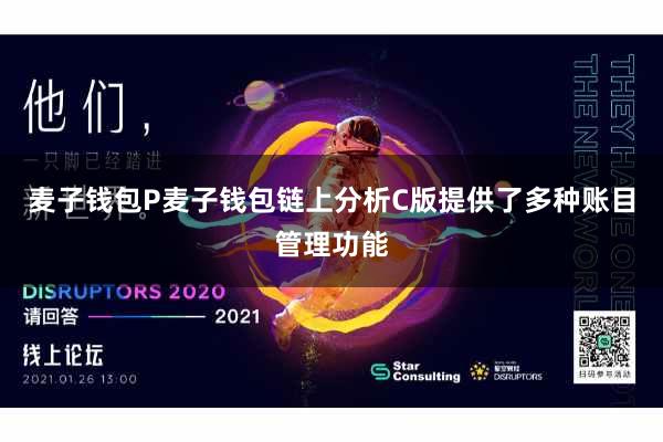 麦子钱包P麦子钱包链上分析C版提供了多种账目管理功能