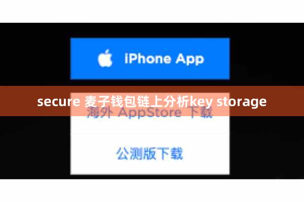 secure 麦子钱包链上分析key storage