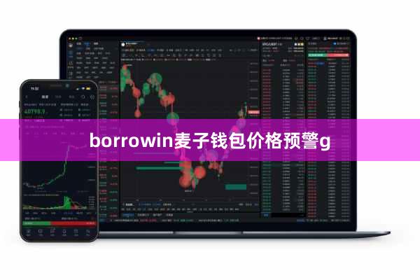 borrowin麦子钱包价格预警g