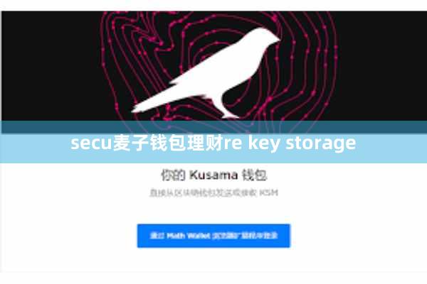 secu麦子钱包理财re key storage