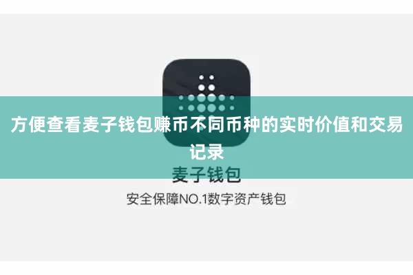 方便查看麦子钱包赚币不同币种的实时价值和交易记录