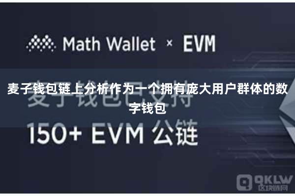 麦子钱包链上分析作为一个拥有庞大用户群体的数字钱包