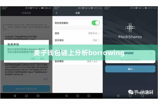 麦子钱包链上分析borrowing