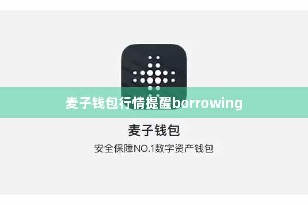 麦子钱包行情提醒borrowing