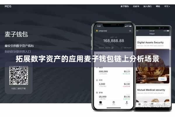 拓展数字资产的应用麦子钱包链上分析场景