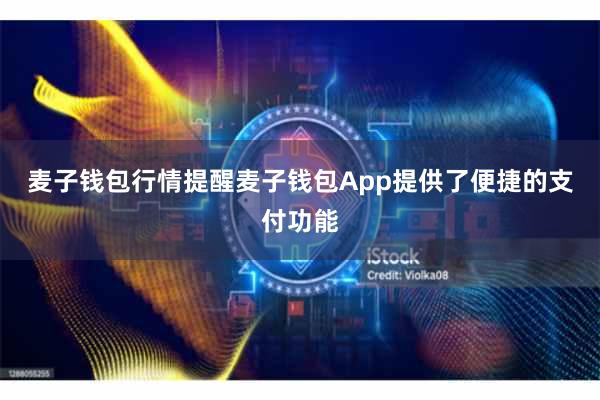 麦子钱包行情提醒麦子钱包App提供了便捷的支付功能