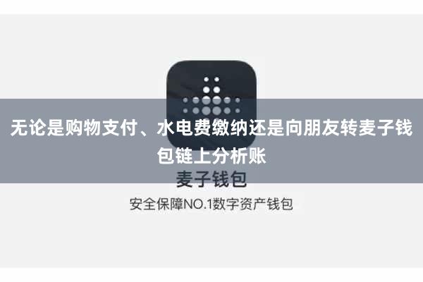 无论是购物支付、水电费缴纳还是向朋友转麦子钱包链上分析账