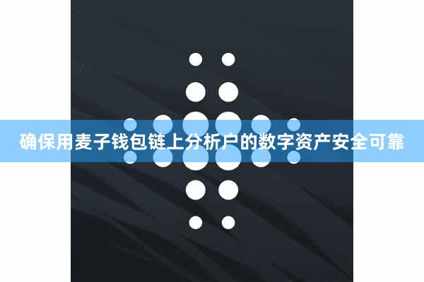 确保用麦子钱包链上分析户的数字资产安全可靠