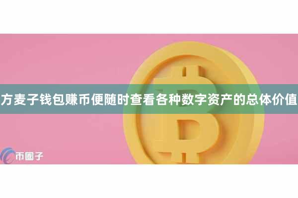 方麦子钱包赚币便随时查看各种数字资产的总体价值
