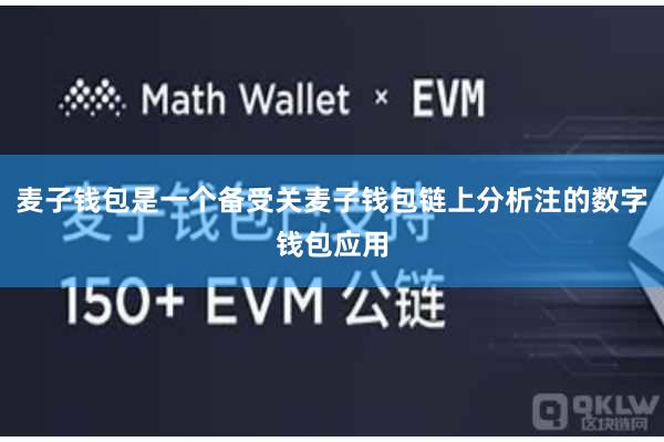 麦子钱包是一个备受关麦子钱包链上分析注的数字钱包应用