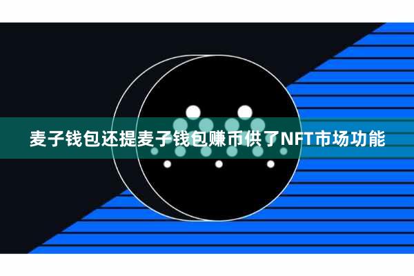 麦子钱包还提麦子钱包赚币供了NFT市场功能