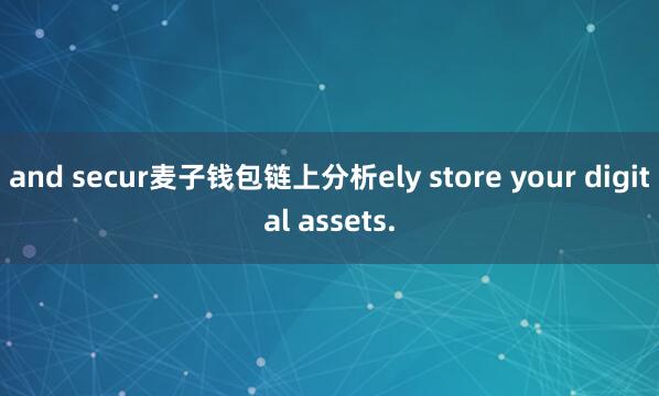 and secur麦子钱包链上分析ely store your digital assets.