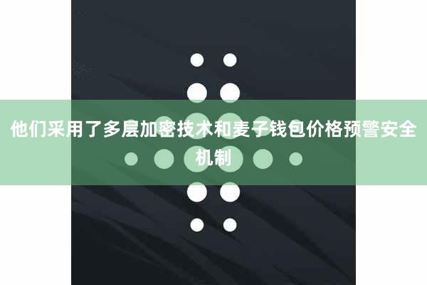 他们采用了多层加密技术和麦子钱包价格预警安全机制