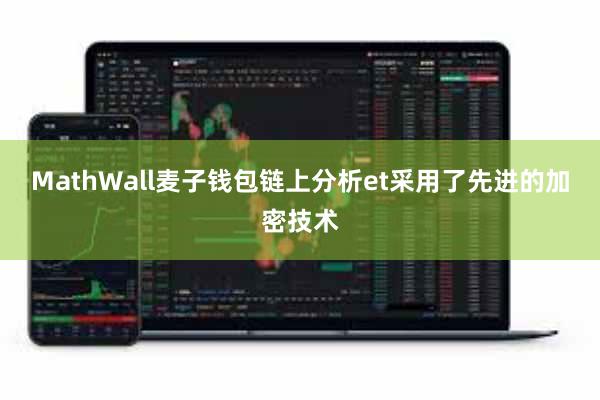 MathWall麦子钱包链上分析et采用了先进的加密技术