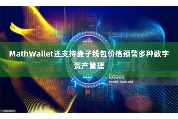 MathWallet还支持麦子钱包价格预警多种数字资产管理